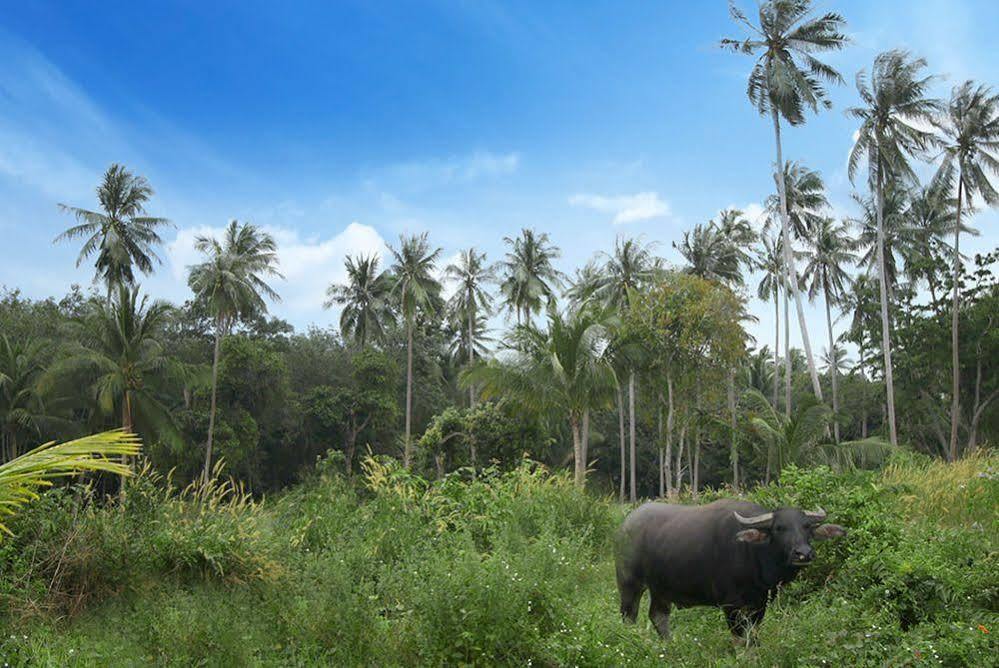 ホテル Samui Le Reve Na Mueang エクステリア 写真