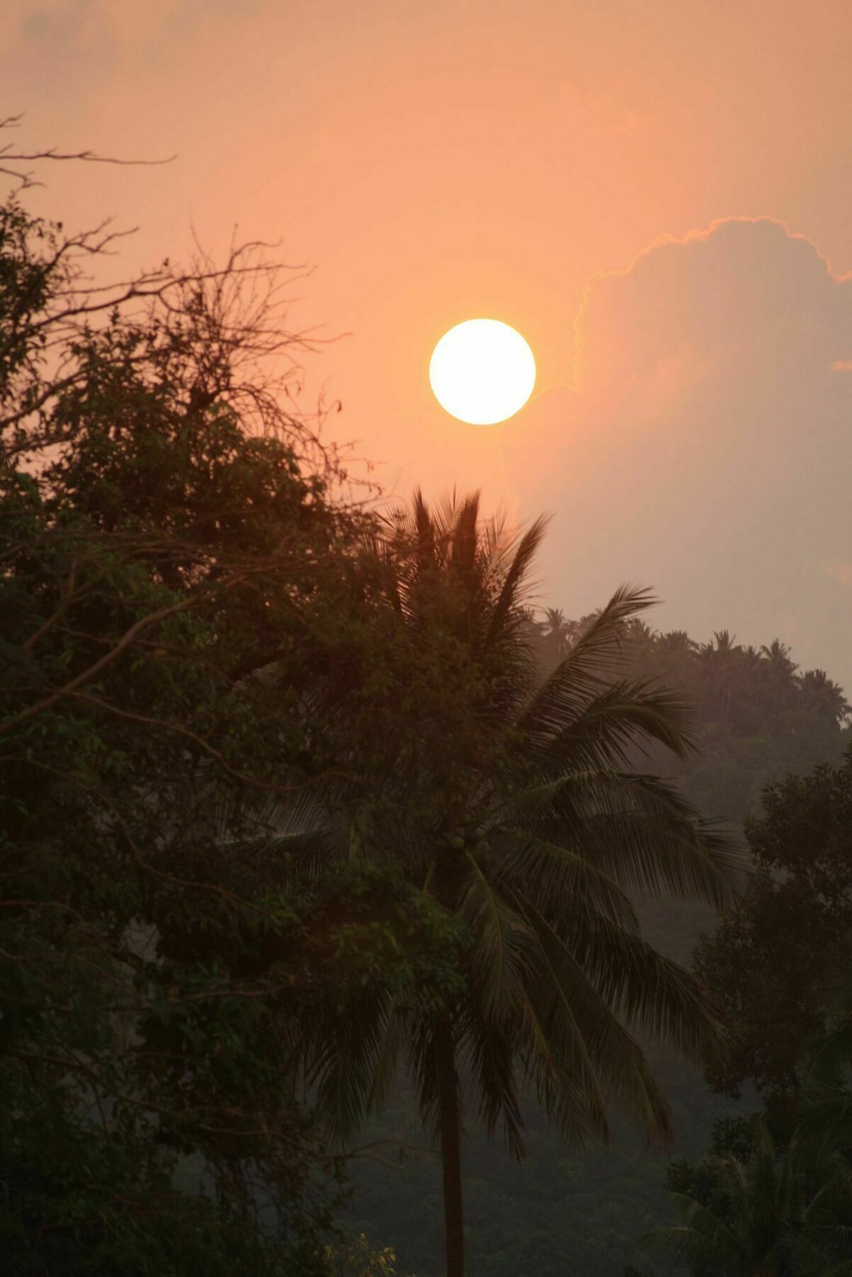 ホテル Samui Le Reve Na Mueang エクステリア 写真