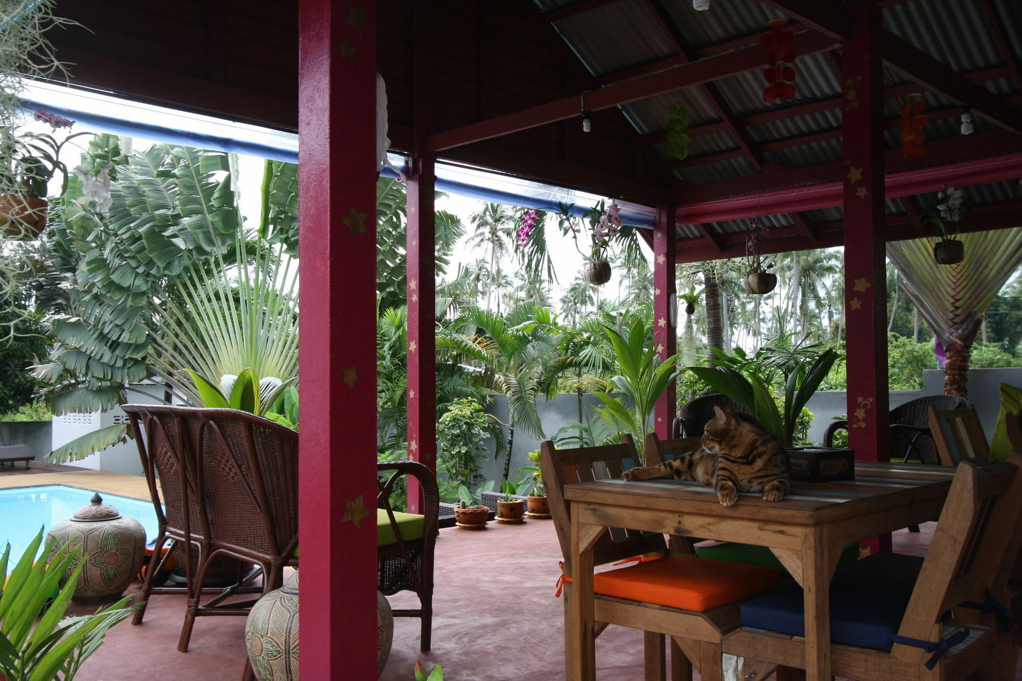 ホテル Samui Le Reve Na Mueang エクステリア 写真